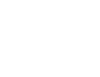 Palatin Group